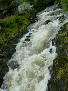 Filename=P1080179.JPG
Filesize=5191KiB
Dimensions=3240x4320
Date added=Sep 17, 2019 P1080179.JPG