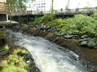 Filename=P1080181.JPG
Filesize=5493KiB
Dimensions=4320x3240
Date added=Sep 17, 2019 P1080181.JPG