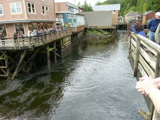 Filename=P1080195.JPG
Filesize=6201KiB
Dimensions=4320x3240
Date added=Sep 17, 2019 P1080195.JPG