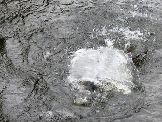 Filename=P1080199.JPG
Filesize=5843KiB
Dimensions=4320x3240
Date added=Sep 17, 2019 P1080199.JPG