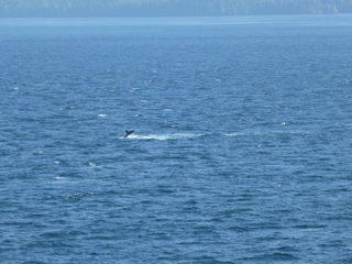 Filename=P1080250.JPG
Filesize=5626KiB
Dimensions=4320x3240
Date added=Sep 17, 2019 P1080250.JPG