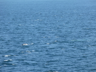 Filename=P1080252.JPG
Filesize=5457KiB
Dimensions=4320x3240
Date added=Sep 17, 2019 P1080252.JPG