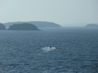 Filename=P1080254.JPG
Filesize=5357KiB
Dimensions=4320x3240
Date added=Sep 17, 2019 P1080254.JPG