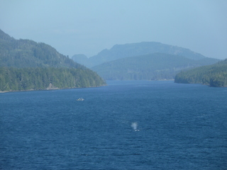 Filename=P1080263.JPG
Filesize=5076KiB
Dimensions=4320x3240
Date added=Sep 17, 2019 P1080263.JPG