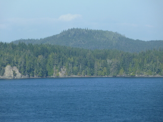 Filename=P1080265.JPG
Filesize=5082KiB
Dimensions=4320x3240
Date added=Sep 17, 2019 P1080265.JPG