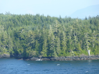 Filename=P1080266.JPG
Filesize=5885KiB
Dimensions=4320x3240
Date added=Sep 17, 2019 P1080266.JPG