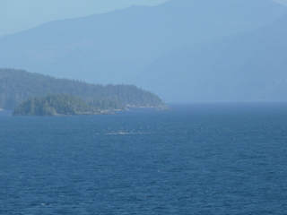 Filename=P1080271.JPG
Filesize=5426KiB
Dimensions=4320x3240
Date added=Sep 17, 2019 P1080271.JPG