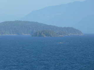 Filename=P1080272.JPG
Filesize=5421KiB
Dimensions=4320x3240
Date added=Sep 17, 2019 P1080272.JPG