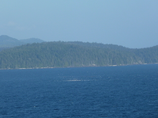 Filename=P1080276.JPG
Filesize=5666KiB
Dimensions=4320x3240
Date added=Sep 17, 2019 P1080276.JPG