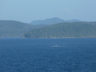 Filename=P1080279.JPG
Filesize=5521KiB
Dimensions=4320x3240
Date added=Sep 17, 2019 P1080279.JPG