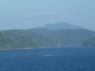 Filename=P1080281.JPG
Filesize=5523KiB
Dimensions=4320x3240
Date added=Sep 17, 2019 P1080281.JPG