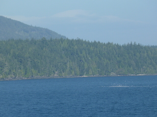 Filename=P1080282.JPG
Filesize=5518KiB
Dimensions=4320x3240
Date added=Sep 17, 2019 P1080282.JPG