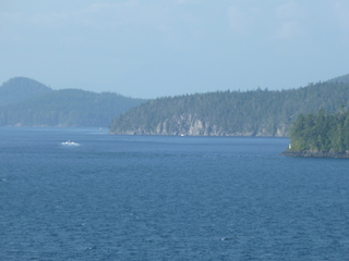 Filename=P1080286.JPG
Filesize=5531KiB
Dimensions=4320x3240
Date added=Sep 17, 2019 P1080286.JPG