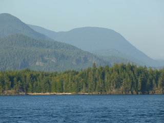 Filename=P1080291.JPG
Filesize=5454KiB
Dimensions=4320x3240
Date added=Sep 17, 2019 P1080291.JPG