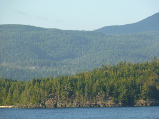 Filename=P1080292.JPG
Filesize=5138KiB
Dimensions=4320x3240
Date added=Sep 17, 2019 P1080292.JPG