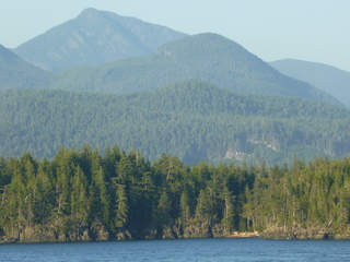 Filename=P1080296.JPG
Filesize=5541KiB
Dimensions=4320x3240
Date added=Sep 17, 2019 P1080296.JPG