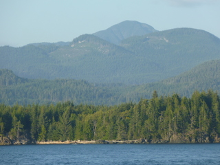 Filename=P1080297.JPG
Filesize=5249KiB
Dimensions=4320x3240
Date added=Sep 17, 2019 P1080297.JPG