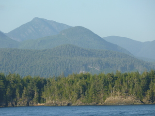 Filename=P1080298.JPG
Filesize=5326KiB
Dimensions=4320x3240
Date added=Sep 17, 2019 P1080298.JPG