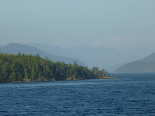 Filename=P1080300.JPG
Filesize=5468KiB
Dimensions=4320x3240
Date added=Sep 17, 2019 P1080300.JPG