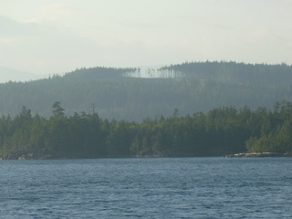 Filename=P1080304.JPG
Filesize=5379KiB
Dimensions=4320x3240
Date added=Sep 17, 2019 P1080304.JPG