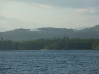 Filename=P1080305.JPG
Filesize=5295KiB
Dimensions=4320x3240
Date added=Sep 17, 2019 P1080305.JPG