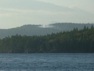 Filename=P1080311.JPG
Filesize=5409KiB
Dimensions=4320x3240
Date added=Sep 17, 2019 P1080311.JPG