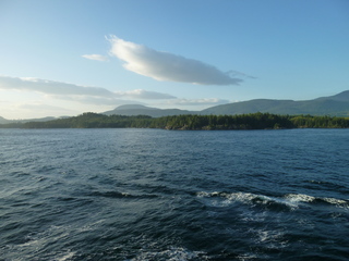 Filename=P1080313.JPG
Filesize=5197KiB
Dimensions=4320x3240
Date added=Sep 17, 2019 P1080313.JPG