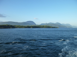 Filename=P1080314.JPG
Filesize=5701KiB
Dimensions=4320x3240
Date added=Sep 17, 2019 P1080314.JPG