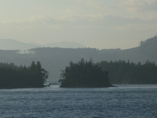 Filename=P1080324.JPG
Filesize=5319KiB
Dimensions=4320x3240
Date added=Sep 17, 2019 P1080324.JPG