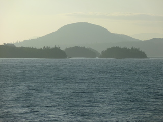 Filename=P1080329.JPG
Filesize=5492KiB
Dimensions=4320x3240
Date added=Sep 17, 2019 P1080329.JPG