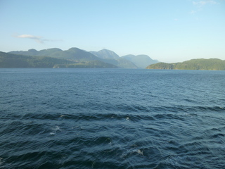 Filename=P1080334.JPG
Filesize=5695KiB
Dimensions=4320x3240
Date added=Sep 17, 2019 P1080334.JPG