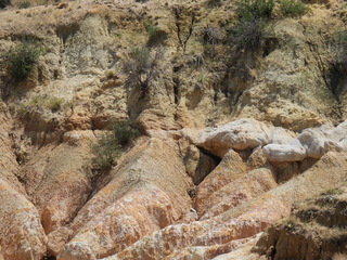 Filename=DSCN1555.JPG
Filesize=7573KiB
Dimensions=4608x3456
Date added=Jul 08, 2022 DSCN1555.JPG