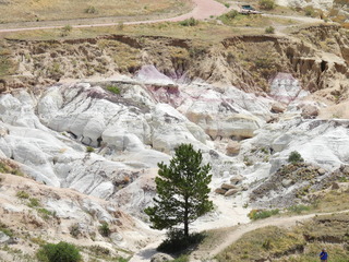 Filename=DSCN1570.JPG
Filesize=7235KiB
Dimensions=4608x3456
Date added=Jul 08, 2022 DSCN1570.JPG