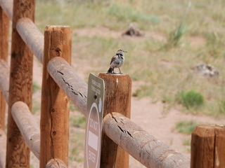 Filename=DSCN1571.JPG
Filesize=7407KiB
Dimensions=4608x3456
Date added=Jul 08, 2022 DSCN1571.JPG