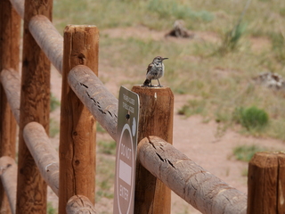 Filename=DSCN1572.JPG
Filesize=7300KiB
Dimensions=4608x3456
Date added=Jul 08, 2022 DSCN1572.JPG