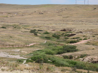 Filename=DSCN1588.JPG
Filesize=7102KiB
Dimensions=4608x3456
Date added=Jul 08, 2022 DSCN1588.JPG