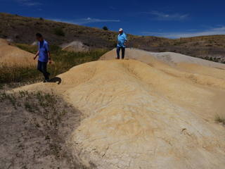 Filename=DSCN1600.JPG
Filesize=7010KiB
Dimensions=4608x3456
Date added=Jul 08, 2022 DSCN1600.JPG