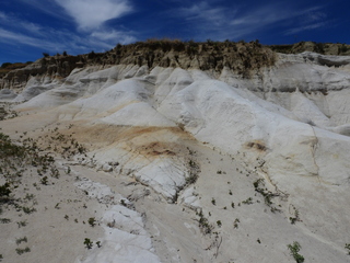 Filename=DSCN1619.JPG
Filesize=6602KiB
Dimensions=4608x3456
Date added=Jul 08, 2022 DSCN1619.JPG