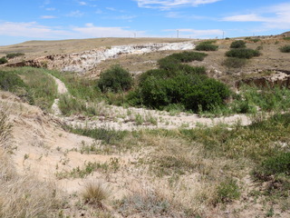 Filename=DSCN1620.JPG
Filesize=6942KiB
Dimensions=4608x3456
Date added=Jul 08, 2022 DSCN1620.JPG