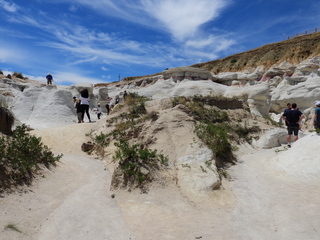 Filename=DSCN1622.JPG
Filesize=7041KiB
Dimensions=4608x3456
Date added=Jul 08, 2022 DSCN1622.JPG