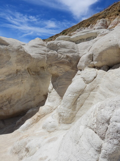 Filename=DSCN1632.JPG
Filesize=6897KiB
Dimensions=3456x4608
Date added=Jul 08, 2022 DSCN1632.JPG