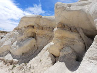 Filename=DSCN1633.JPG
Filesize=7254KiB
Dimensions=4608x3456
Date added=Jul 08, 2022 DSCN1633.JPG