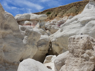 Filename=DSCN1637.JPG
Filesize=6991KiB
Dimensions=4608x3456
Date added=Jul 08, 2022 DSCN1637.JPG