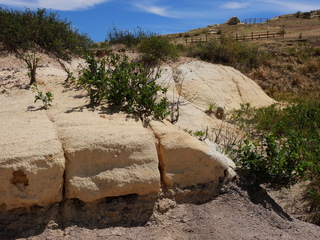 Filename=DSCN1644.JPG
Filesize=6680KiB
Dimensions=4608x3456
Date added=Jul 08, 2022 DSCN1644.JPG