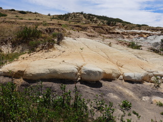 Filename=DSCN1645.JPG
Filesize=7056KiB
Dimensions=4608x3456
Date added=Jul 08, 2022 DSCN1645.JPG