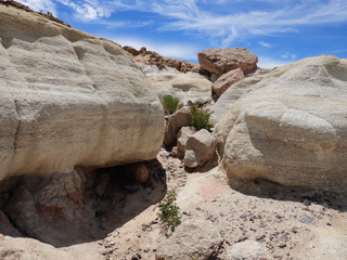 Filename=DSCN1651.JPG
Filesize=7013KiB
Dimensions=4608x3456
Date added=Jul 08, 2022 DSCN1651.JPG