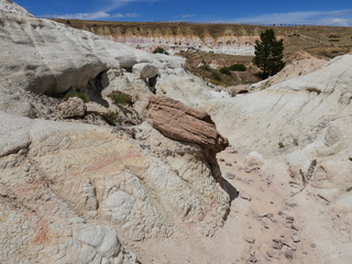 Filename=DSCN1652.JPG
Filesize=7417KiB
Dimensions=4608x3456
Date added=Jul 08, 2022 DSCN1652.JPG