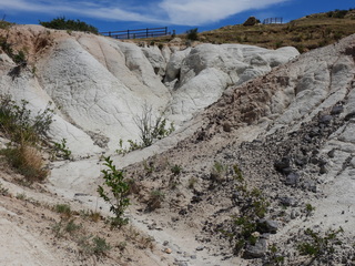 Filename=DSCN1653.JPG
Filesize=7221KiB
Dimensions=4608x3456
Date added=Jul 08, 2022 DSCN1653.JPG