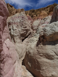 Filename=DSCN1663.JPG
Filesize=6493KiB
Dimensions=3456x4608
Date added=Jul 08, 2022 DSCN1663.JPG