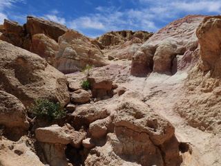 Filename=DSCN1665.JPG
Filesize=7145KiB
Dimensions=4608x3456
Date added=Jul 08, 2022 DSCN1665.JPG